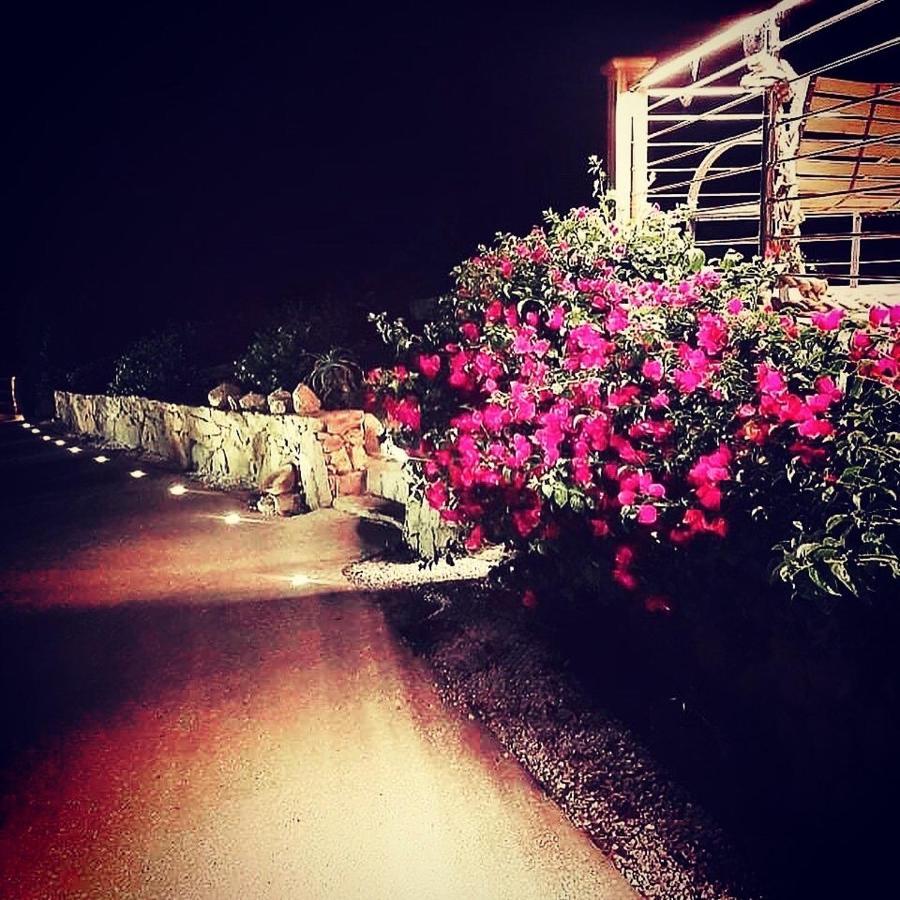 Tenuta Petra Manna ปาเลา ภายนอก รูปภาพ