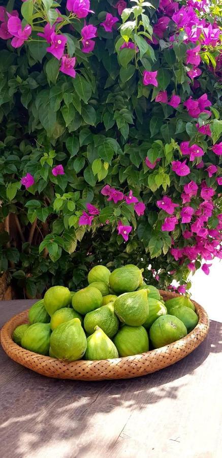 Tenuta Petra Manna ปาเลา ภายนอก รูปภาพ