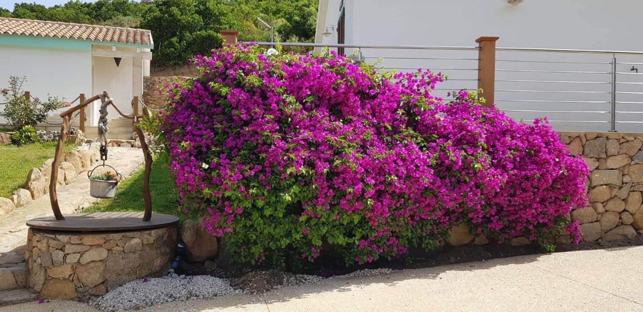 Tenuta Petra Manna ปาเลา ภายนอก รูปภาพ